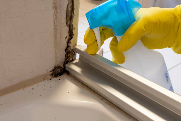 Best Mold Testing  in Manville, NJ