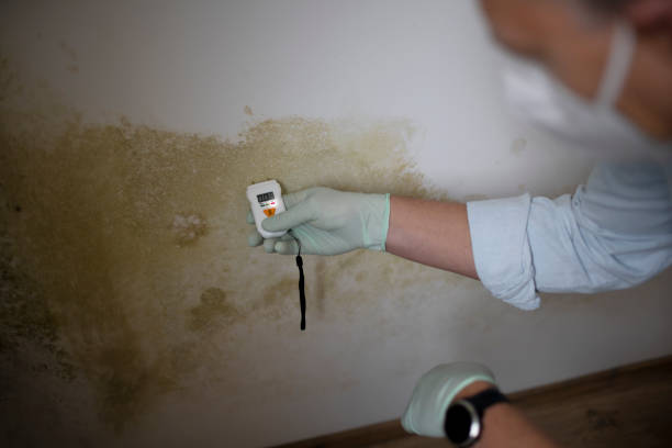 Best Commercial Mold Removal  in Manville, NJ