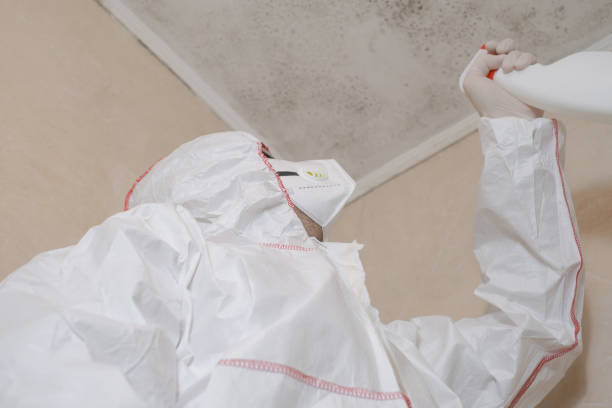 Best Crawl Space Mold Removal  in Manville, NJ