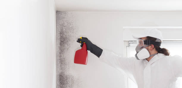 Crawl Space Mold Removal in Manville, NJ