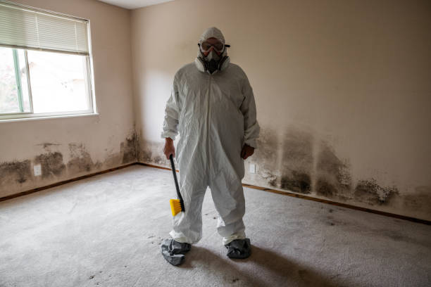 Best Mold Testing and Removal  in Manville, NJ