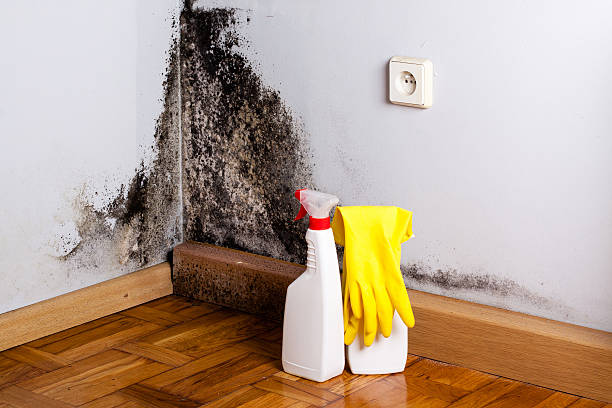 Mold Testing and Removal in Manville, NJ