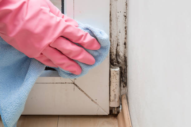 Best Crawl Space Mold Removal  in Manville, NJ